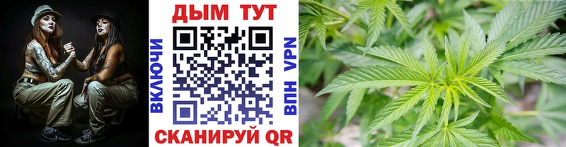 Бошки Шишки ГИДРОПОН  купить наркотики цена  Камешково 